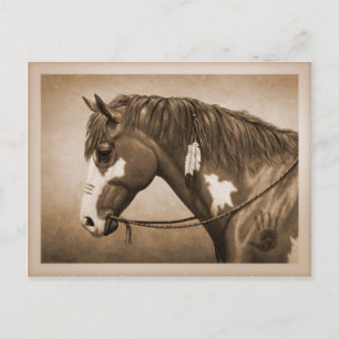 Native American Pinto Krig Horse Vintage Stil Vykort
