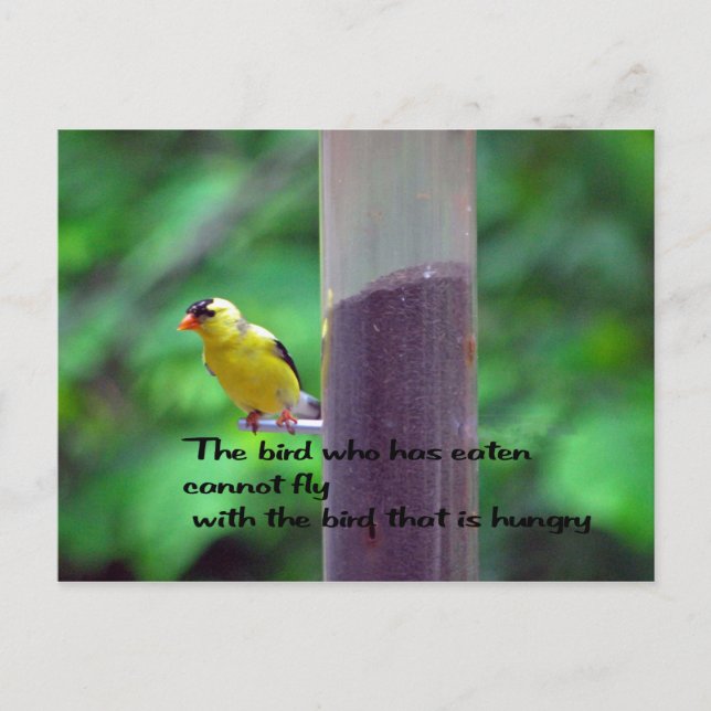 Native American Proverb Vykort (Framsida)