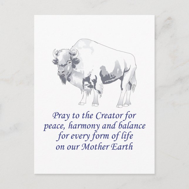 Native American Symbolism Vykort (Framsida)