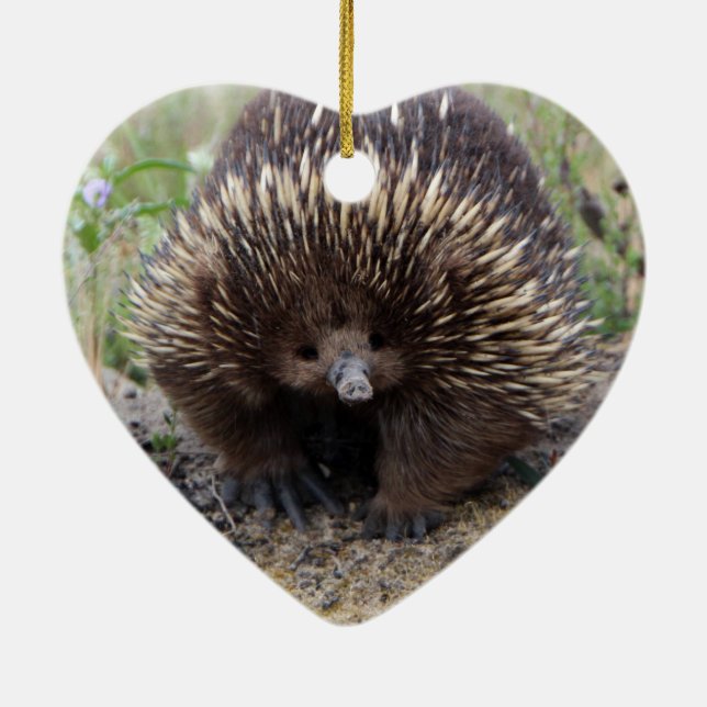 Native Australian Vild Echidna Photo Julgransprydnad Keramik (Baksidan)