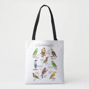 Native Birds in Filippinerna Tygkasse