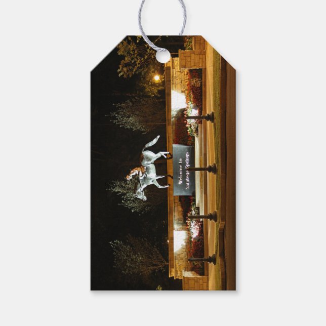 Native Dancer Horse Statue Saratoga Gift Märkre Presentetikett (Framsidan)