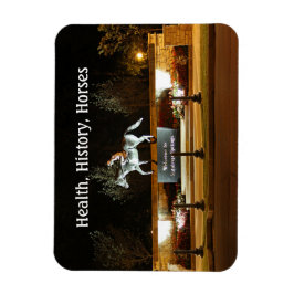 Native Dancer Horse Statue Saratoga Magnet