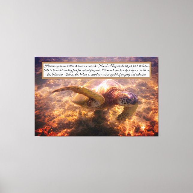 Native Hawaiian turtle Canvastryck (Framsida)