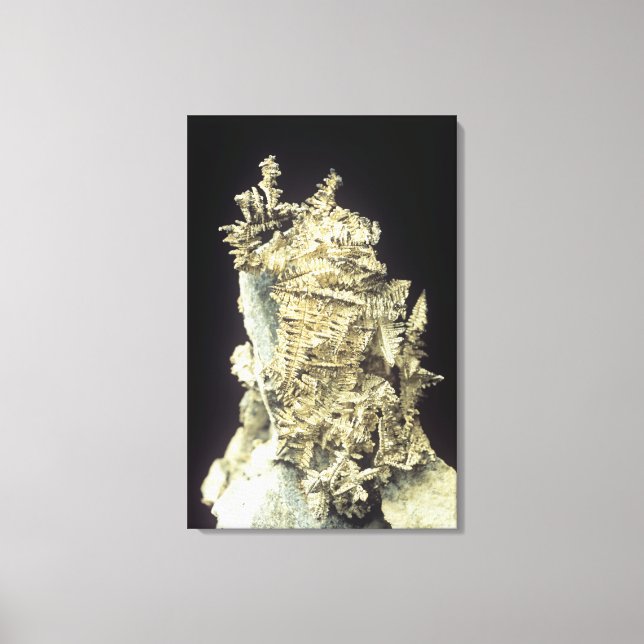 Native Silver (Ag) på kalksten, Kanada Canvastryck (Framsida)