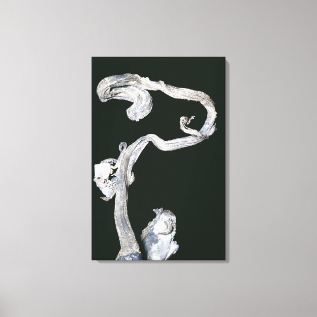 Native Silver Canvastryck (Framsida)