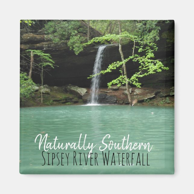 Natrually Southern Sipsey Waterfall Magnet (Framsidan)