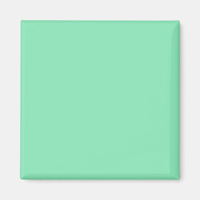 Nätstycke med Mint Grönt - bakgrund Magnet (Framsidan)