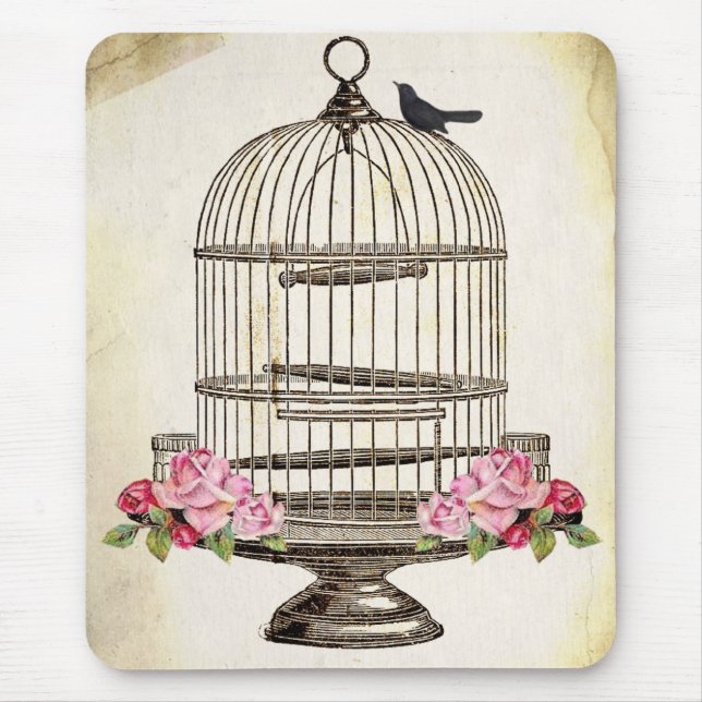 Nätt BLaCKBiRD för sitta på fågelbur Musmatta (Framsidan)