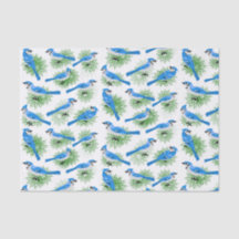 Nätt Blue Jays i unika fåglar för grästräd