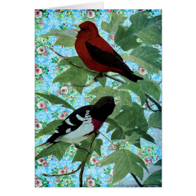 Nätt dagfåglar hälsningskort (Framsidan)