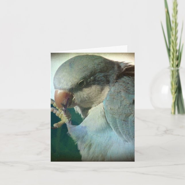 Nätt fågel, födelsedag kort (Framsida)