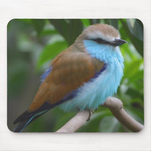 Nätt fågel Mousepad Musmatta (Framsidan)