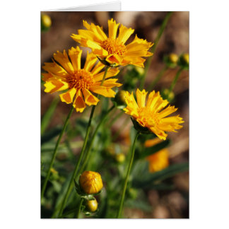Nätt gula blommor hälsningskort