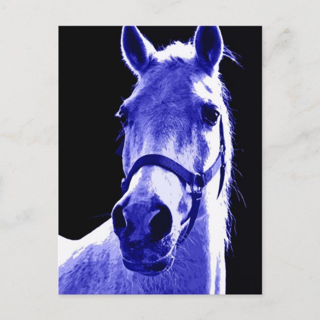 Natt Häst Vykort (Framsida)