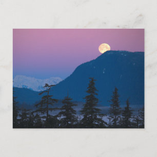 Natt i Alaska Vykort