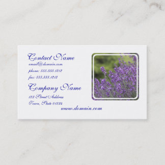 Nätt lavendel sätter in visitkortar visitkort