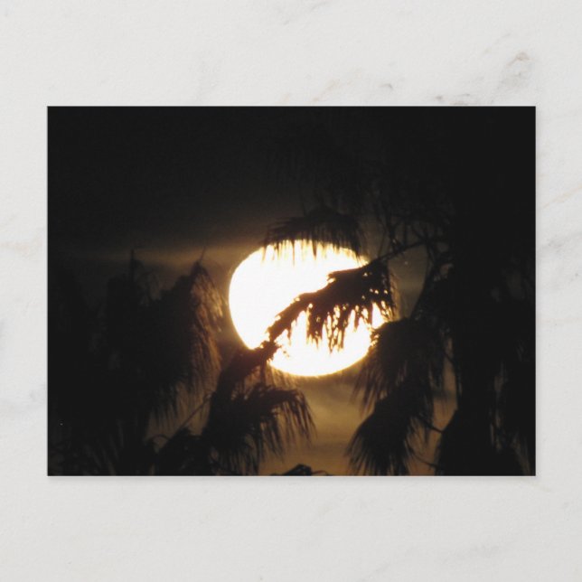 natt måne vykort (Framsida)