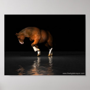Natt Mare Poster