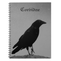 Natt med Corvidae