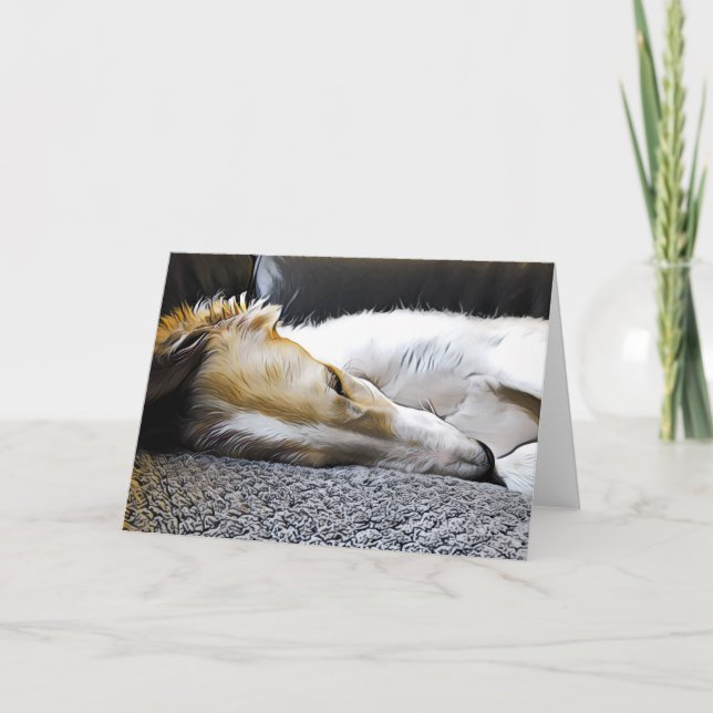 Natt Natt Borzoi Meddelande (Framsida)