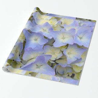 Nätt och färgrikt ljust - blåttvanlig hortensia presentpapper