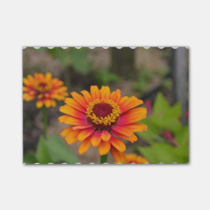 Nätt orange Zinnia Post-it Block
