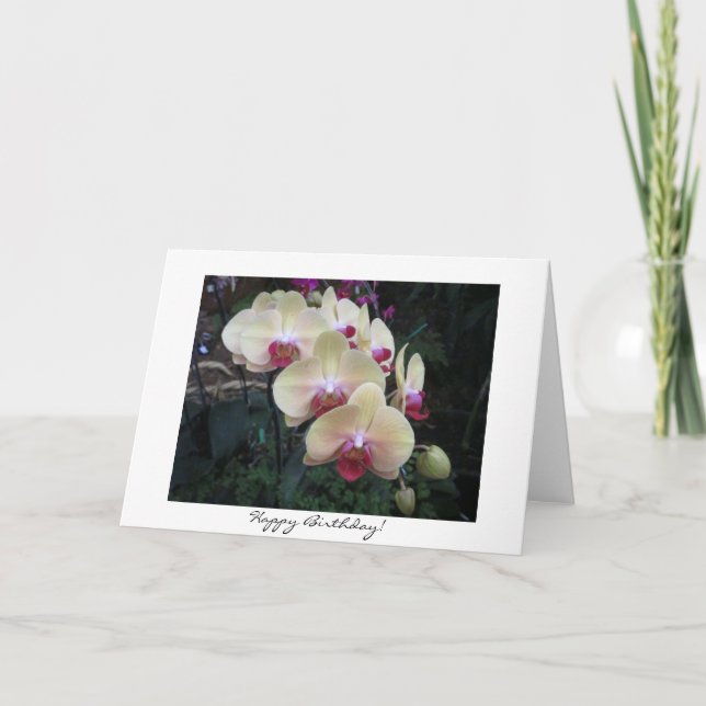 Nätt Orchidfödelsedagkort Kort (Framsida)