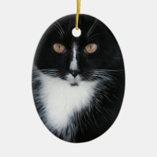 Nätt pojkesmokingkattunge julgransprydnad keramik