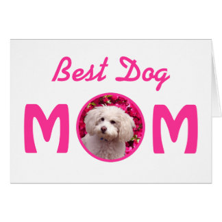 Nätt pudel hälsningskort