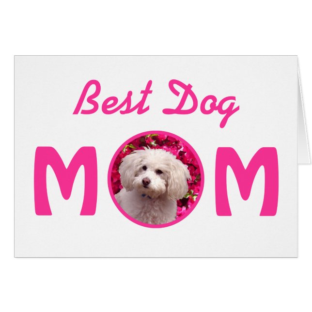 Nätt pudel hälsningskort (Framsidan Horizontal)