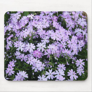 Nätt purpurfärgad Phlox Musmatta