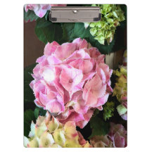 Nätt rosa Hygrangea Clipboard