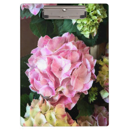 Nätt rosa Hygrangea Clipboard