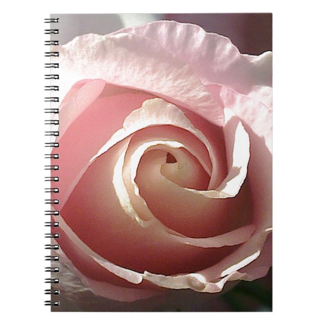 Nätt rosa ros anteckningsbok med spiral (Framsidan)