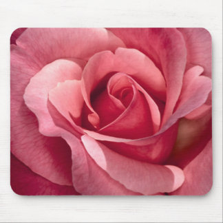 Nätt rosa ros Mousepad Musmatta