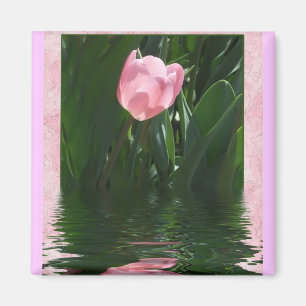 Nätt rosa tulpanmagnet magnet