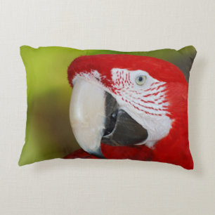Nätt scharlakansröd Macaw Prydnadskudde