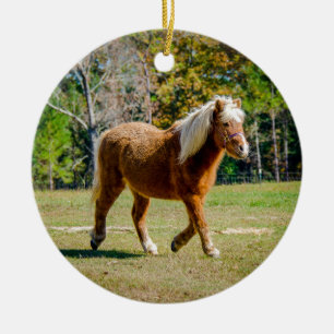 Nätt Shetland ponny Julgransprydnad Keramik