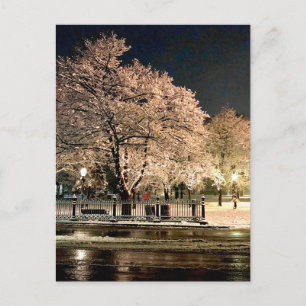 Natt Snöstorm Salem Common Massachusetts Foto Vykort