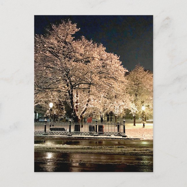 Natt Snöstorm Salem Common Massachusetts Foto Vykort (Framsida)