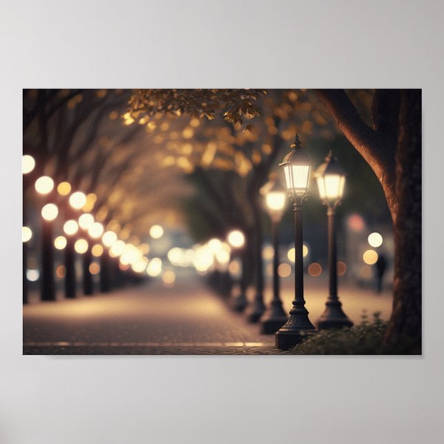 Natt vid parken med bokeh-belysning poster (Framsidan)