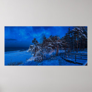 Natt vinterplats med snö täckt gräs poster