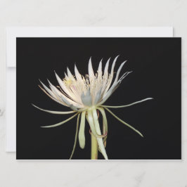 Nattblåsande blomsterkort