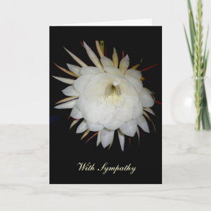 Nattblåsande Cereus Sympathy Card Kort