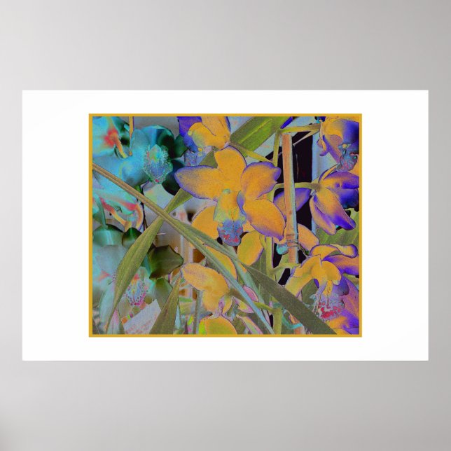 Nattbloom Poster (Framsidan)