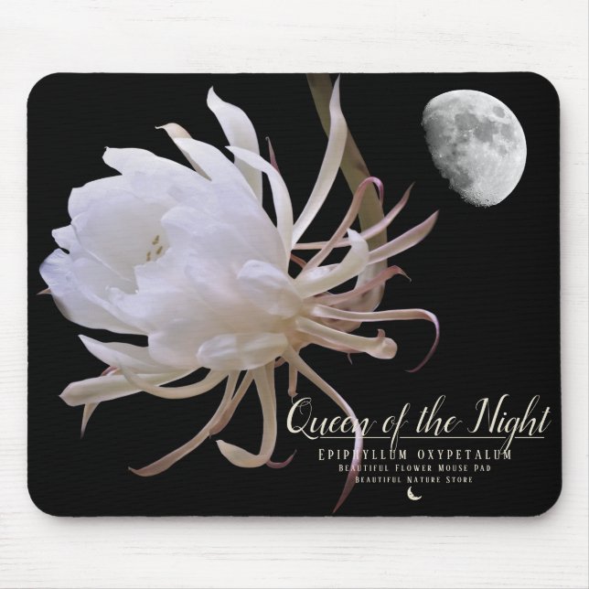 Nattdrottning マ ウ パ ッ musmatta (Framsidan)