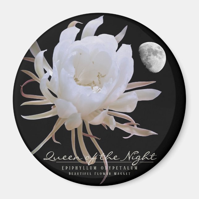 Nattdrottning マ グ ネ ト magnet (Framsidan)