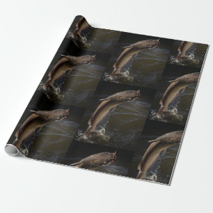 Natten kanaliserar havskattfiske presentpapper