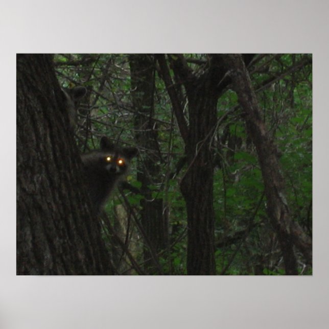 Natten Ögon Poster (Framsidan)